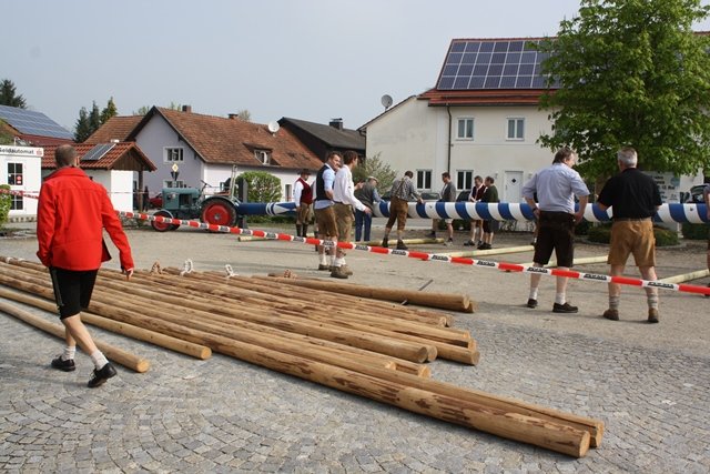 Maibaum 2013